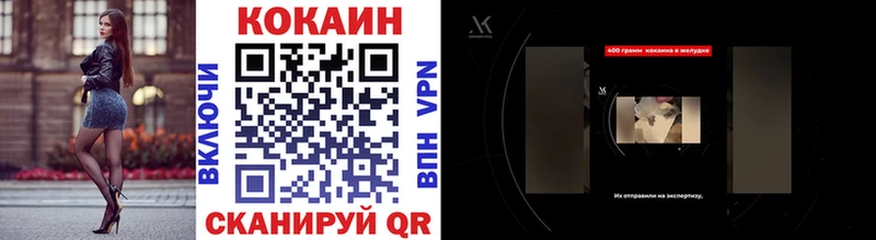 Cocaine Fish Scale  как найти закладки  Новоалександровск 