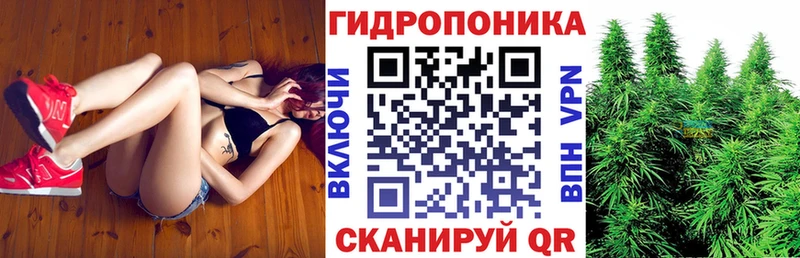 Канабис конопля  ОМГ ОМГ как зайти  Новоалександровск 